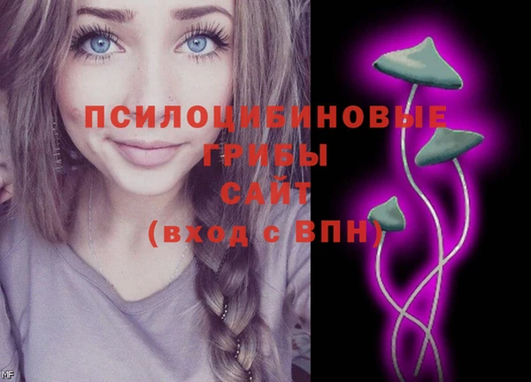 2c-b Балахна