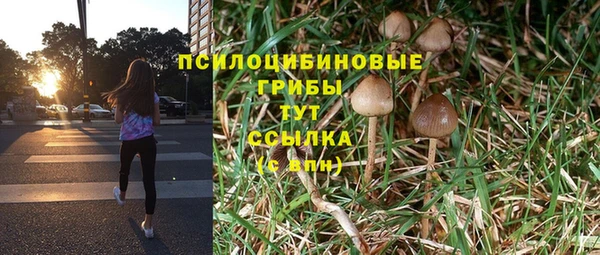 2c-b Балахна