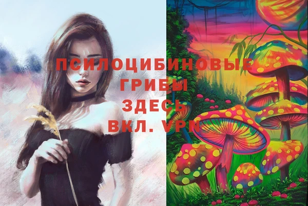 2c-b Балахна