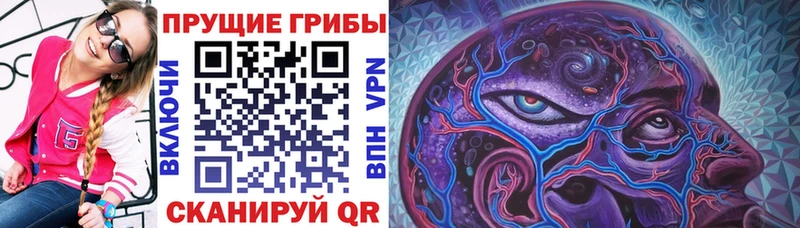 Псилоцибиновые грибы ЛСД  omg онион  Кыштым 